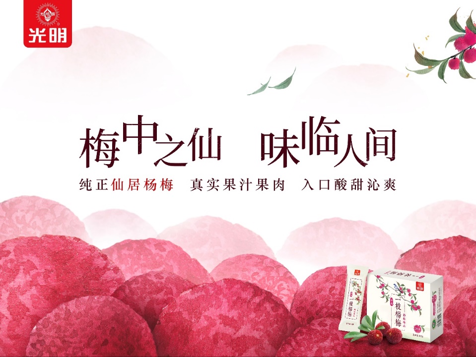 E:年度策略公司\2020-2021奥美 - 太陽城APP
主品牌方案作业\新品KV一枝杨梅\杨梅横版KV.jpg