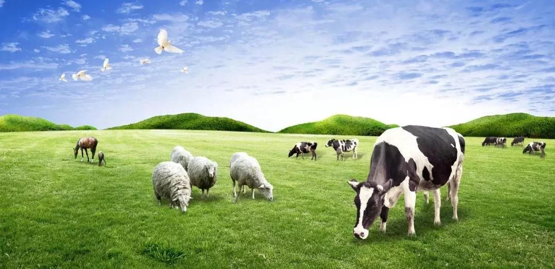 20181015101528_19536.jpg 20181015101528_19536.jpg