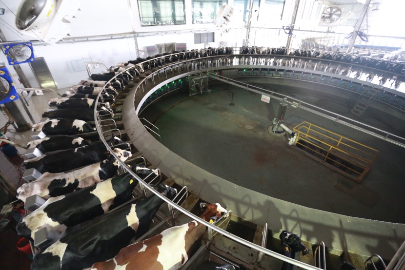 20180907164434_67222.jpg 20180907164434_67222.jpg