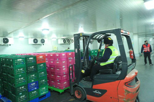 image5.jpeg image5.jpeg