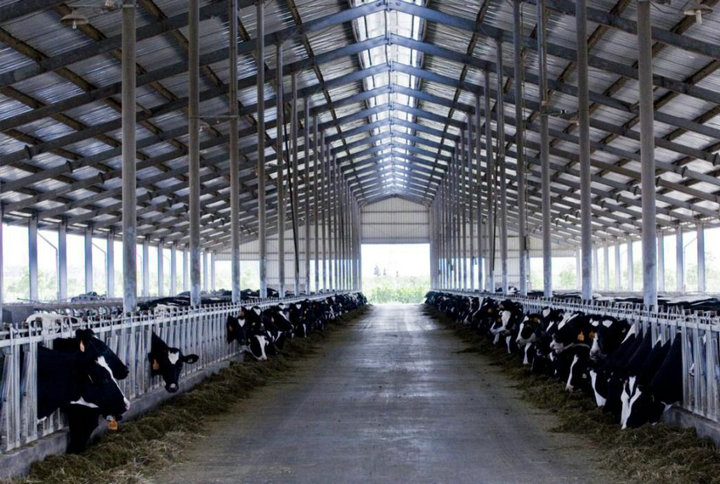 image2.jpeg image2.jpeg