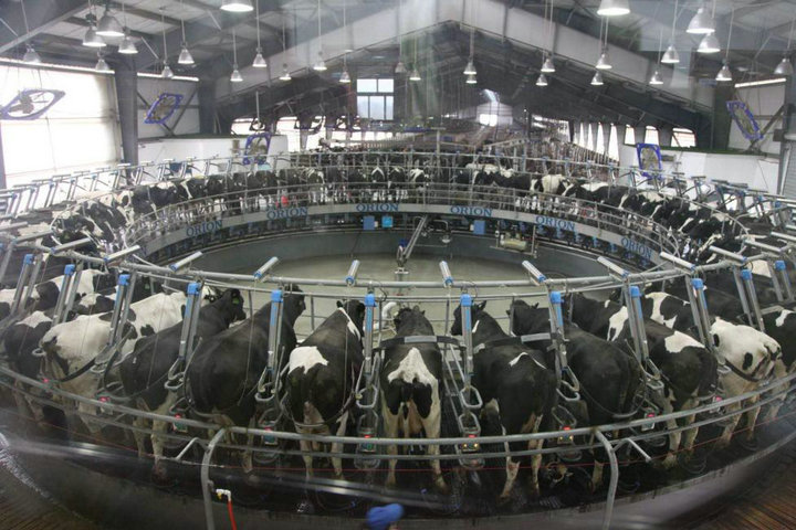 image7.jpeg image7.jpeg