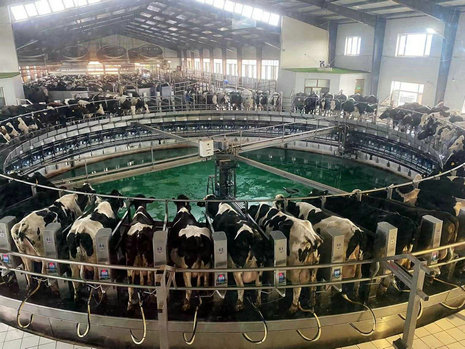 image5.jpeg image5.jpeg