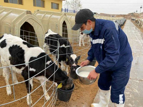 image6.jpeg image6.jpeg